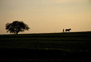 Poland, Roztocze, silhouette of farmer plowing field, sunset