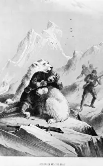 Polar Bear Attack