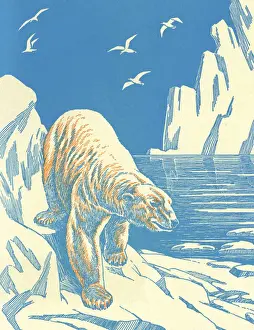 Polar Bear on Iceberg