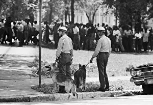 Intimidation Prints: Police and Dogs Near Demonstrators
