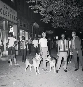 Patrolling Prints: Police with Dogs Patrol Harlem Streets