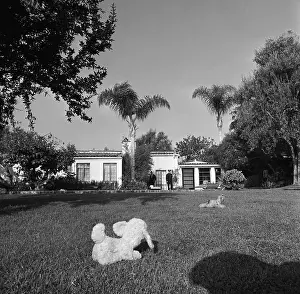Stuffed Animal Prints: Police Outside of Marilyn Monroe's House