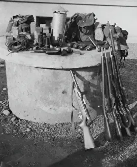 Huty24669 Prints: Polish Weapons