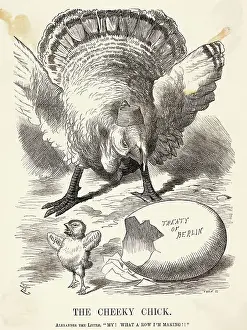 Political Cartoon Of Chick And Turkey