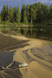 Lakeside Prints: Pollen form patterns in the Saggat Lake near the island of Arrenjarka