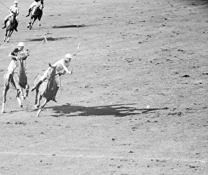 Polo Prints: Polo Game In Action
