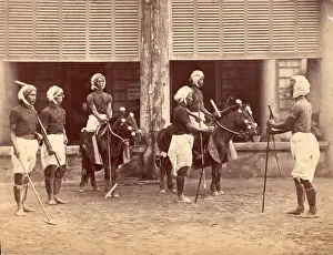 Polo In India