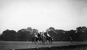 Landscape Male Animal Working Prints: Polo Match