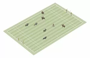 Medium Group Of Animals Gallery: Polo playing field
