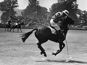 Equestrian Prints: Polo Pony