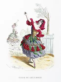 Grandville Prints: The pomegranate flower - Stunning Hand-colored plate from 'Les Fleurs Animees by J
