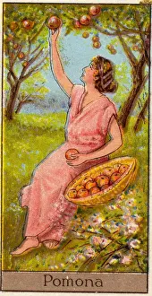 Pomona, Vintage Cigarette Card, Mythological Gods and Goddesses series, 1924