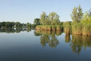 Pond landscape, Herbslebener Teiche nature reserve, Herbsleben, Thuringia, Germany
