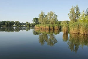 Images Dated 8th July 2013: Pond landscape, Herbslebener Teiche nature reserve, Herbsleben, Thuringia, Germany