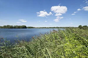 Pond landscape, Meissendorf Lakes Nature Reserve, Meissendorf, Lower Saxony, Germany