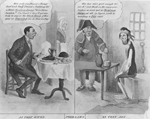 Images Dated 10th June 2010: Poor Laws Comment