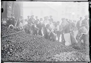 Caring Prints: Poor Picking Potatoes