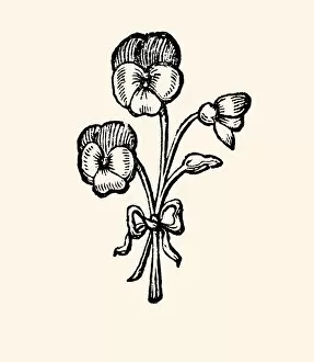 The Poppy Flower Gallery: POPPY BOUQUET: DESIGN ELEMENT -XXXL with lots of details