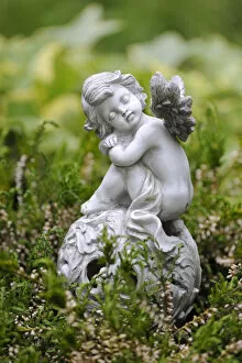 Images Dated 11th May 2011: Porcelain angel