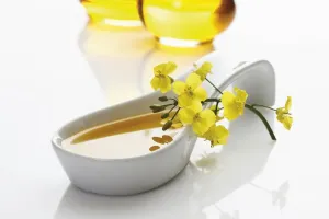 Spoon Prints: Porcelain spoon with vegetable oil and rapeseed flowers