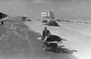 Vehic Prints: Port Said Seafront