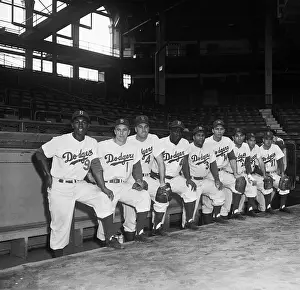 Portrait of 1953 Brooklyn Dodgers