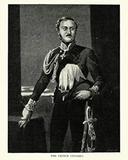 Images Dated 11th August 2018: Portrait of Albert, Prince Consort