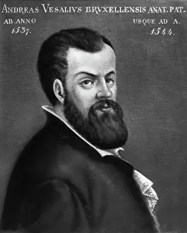 Number Prints: Portrait of Andreas Vesalius