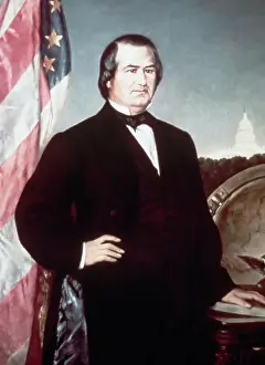 Individuality Prints: Portrait of Andrew Johnson by Frank Buchser