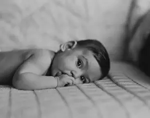 Lying On Front Prints: Portrait of baby boy (6-11 months) lying on front with fingers in mouth