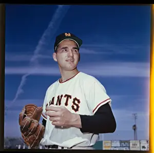 Portrait of Baseball Player Johnny Antonelli