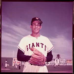 Portrait of Baseball Player Ruben Gomez