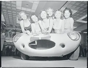 Portrait of Beauty Pageant Contestants
