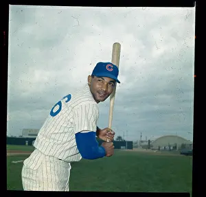 Portrait of Billy Williams
