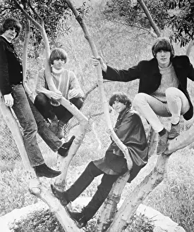 Portrait of The Byrds