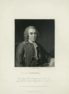 Portrait of Carl Von Linne