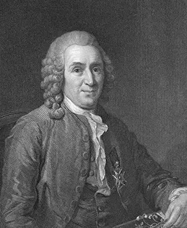 Portrait of Carl Von Linne
