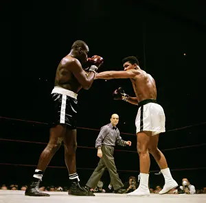 Portrait of Cassius Clay Boxing Doug Jones