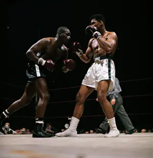Portrait of Cassius Clay Boxing Doug Jones