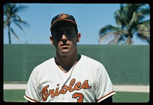 Portrait of Curt Blefary Posing in Orioles Uniform