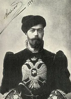 Number Prints: Portrait of Czar Nicholas II