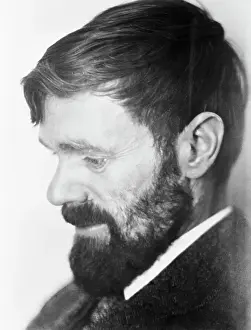 Lawrence Prints: Portrait Of D H Lawrence In Profile