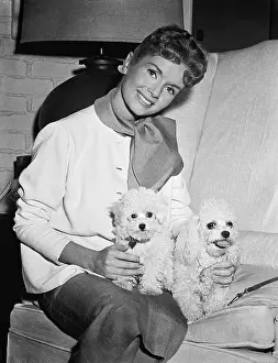 Poodle Prints: Portrait of Debbie Reynolds with Poodles