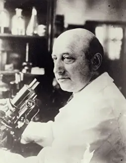 Doctor Prints: Portrait Of Dr. Richard Goldschmidt