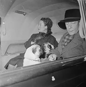 Wallis Prints: Portrait of Duke and Duchess of Windsor