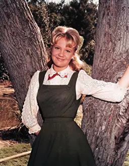 Portrait of Hayley Mills