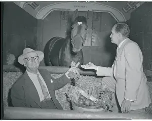 Portrait of Horace Wade, Fontaine and Needles