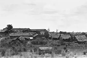 Portrait of Japanese Prison Camp