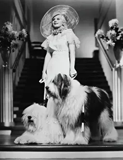 Prints of (Original Caption). Jean Harlow, with two of the prize Old English Sheep Dogs to be seen with her in the Metro-Goldwyn-Mayer production, Bombshell, directed by Victor Fleming Rare prints capturing the allure of Hollywood's original blonde bombshell.: Portrait of Jean Harlow with Old English Sheep Dogs