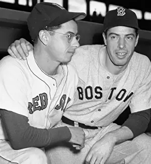 Portrait of Joe and Dom DiMaggio